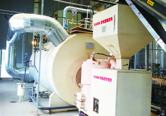 生物質(zhì)蒸汽鍋爐-2